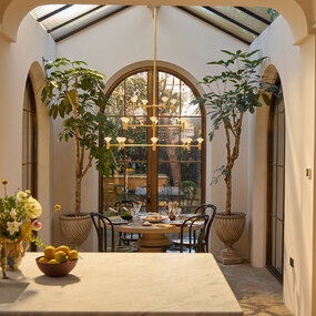 Root Chandelier by Tala