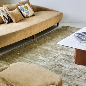 Shaw Area Rug