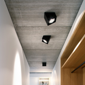 25 Degree Spot Ceiling Light