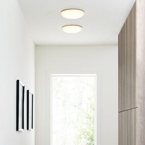 Megan Ceiling / Wall Light