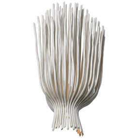 Astra Wall Sconce