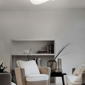 Balance Ceiling Light
