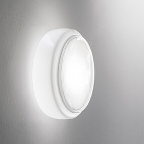 Bot Wide LED Wall / Ceiling Light