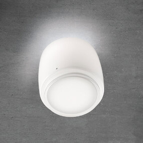 Bot Ceiling Light