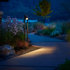 Brough Outdoor 12V Color-Select Path Light by WAC Lighting