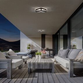 Hawthorne Outdoor Wall / Ceiling Light