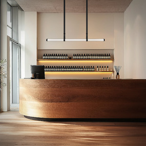 Balance Beam Color-Select Linear Pendant