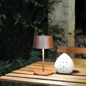 Olivia Cordless Mini Table Lamp