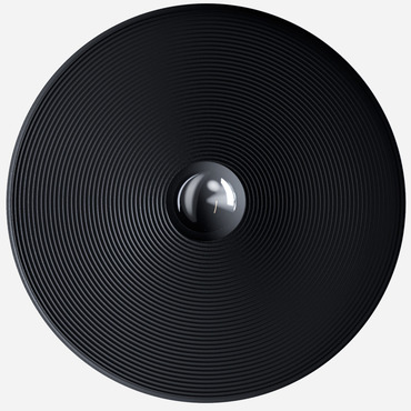 Vinyl Wall / Ceiling Light