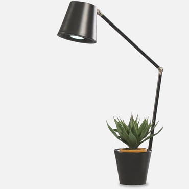 Cap Desk Lamp