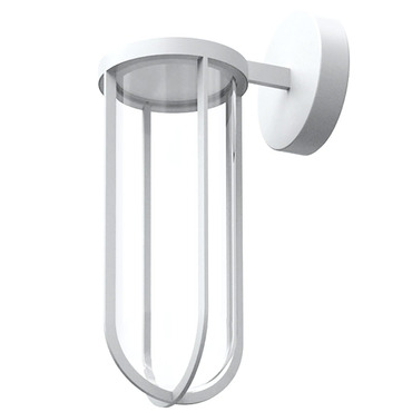 In Vitro Outdoor Wall Sconce