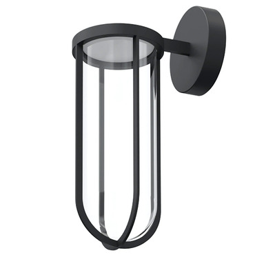 In Vitro Outdoor Wall Sconce