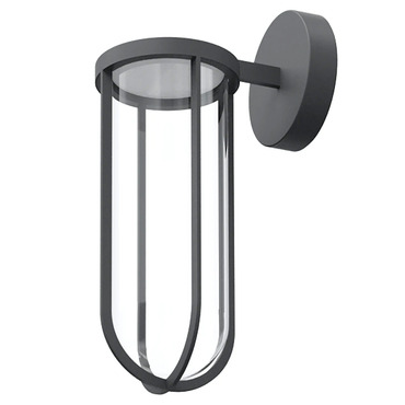 In Vitro Outdoor Wall Sconce