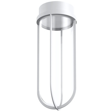 In Vitro Outdoor Ceiling Light