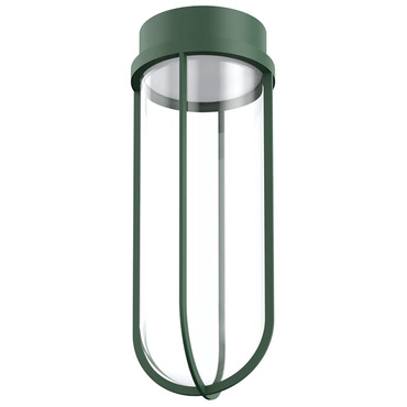 In Vitro Outdoor Ceiling Light