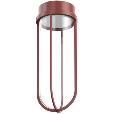 In Vitro Outdoor Ceiling Light