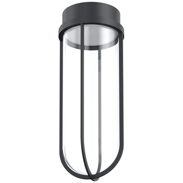 In Vitro Outdoor Ceiling Light