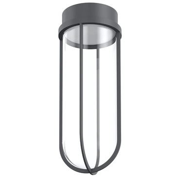 In Vitro Outdoor Ceiling Light