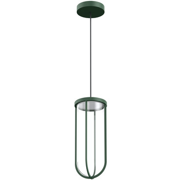 In Vitro Outdoor Pendant