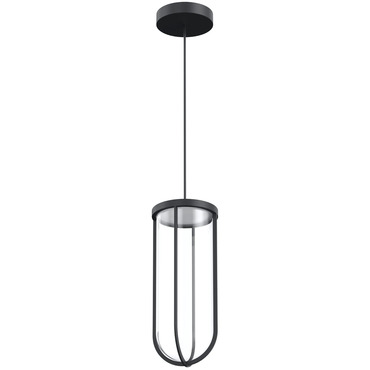 In Vitro Outdoor Pendant