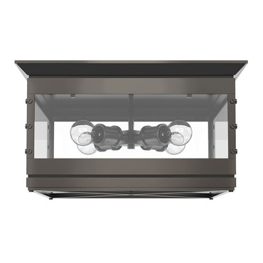 Douglas Ceiling Light Fixture