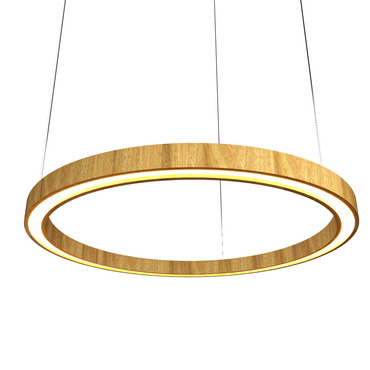 Frame Ring Downlight Pendant | Accord Iluminacao at Lightology Frame Ring Downlight Pendant