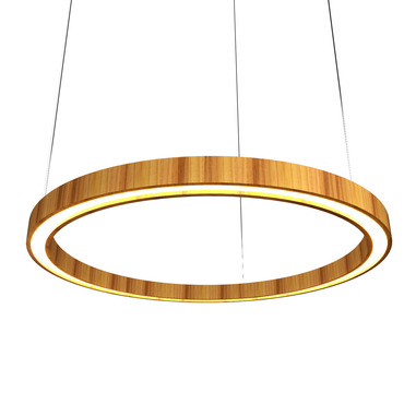 Frame Ring Downlight Pendant | Accord Iluminacao at Lightology Frame Ring Downlight Pendant