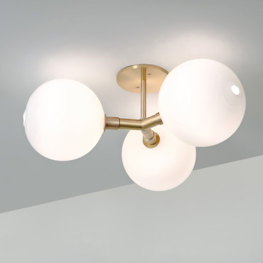 Stem 3X Wall Sconce / Ceiling Light