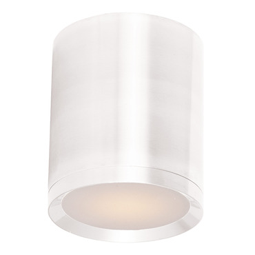Lightray 120V Outdoor Flush Mount