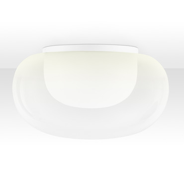 Mist Wall Sconce / Ceiling Light