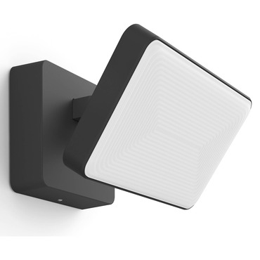 Discover White / Color Ambiance Flood Light