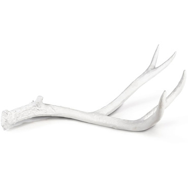 Antler Sculptural Objet