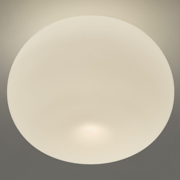 Mela Wall/Ceiling Light