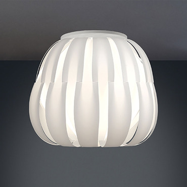 Queen Ceiling Light