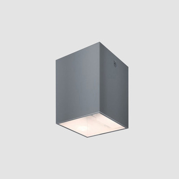 Dau 2 inch Rectangular LED Ceiling Light