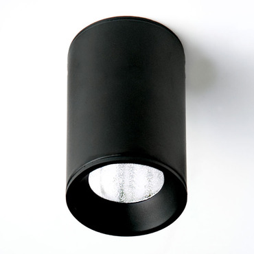 Haul Ceiling Light