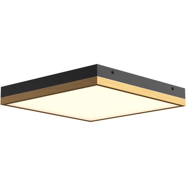 Sydney Wall / Ceiling Light