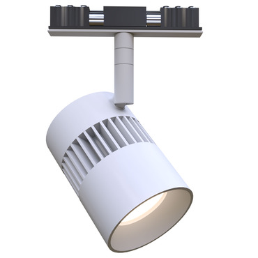 T24M TruTrack Magnetic 2-Circuit Radiant Large Track Head