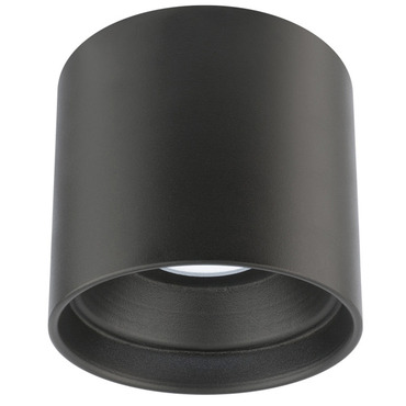 Downtown Round Outdoor Ceiling Light | WAC Lighting at Lightology Downtown Round Outdoor Ceiling Light
