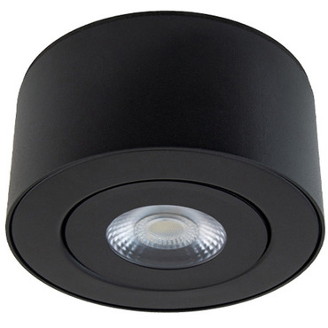 Peek Outdoor Gimbal Ceiling Light