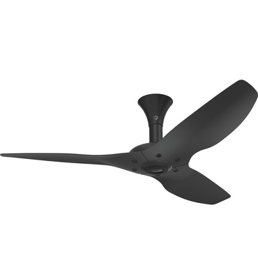 Haiku Low Profile Outdoor Ceiling Fan