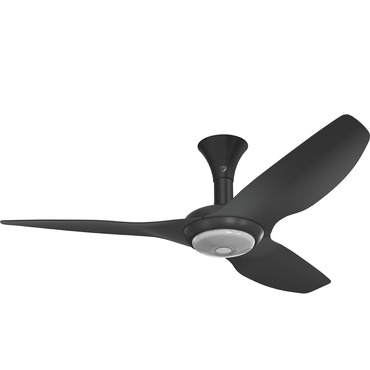 Haiku Low Profile Outdoor Ceiling Fan with Downlight