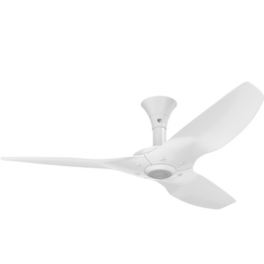 Haiku Low Profile Outdoor Ceiling Fan