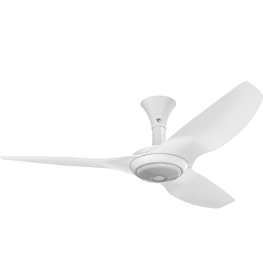 Haiku Low Profile Outdoor Ceiling Fan with Downlight