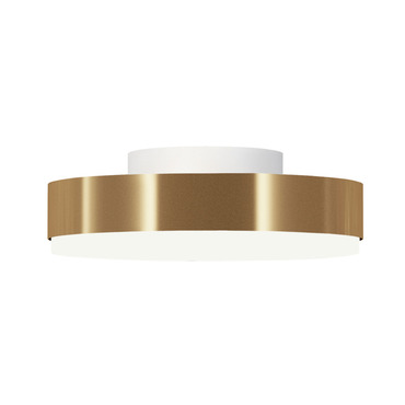 Discus Ceiling Light