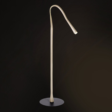 Flexiled Floor Lamp