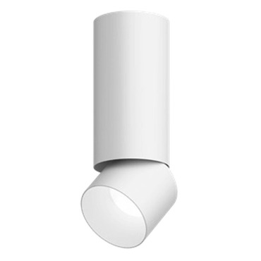 Entra 3 Inch LED Adjustable Cylinder Ceiling Light | Visual Comfort Architectural at Lightology Entra 3 Inch LED Adjustable Cylinder Ceiling Light