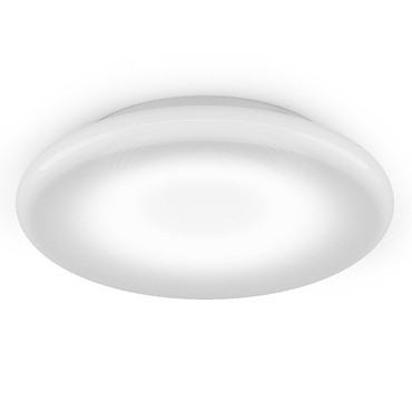 Pod Wall / Ceiling Light