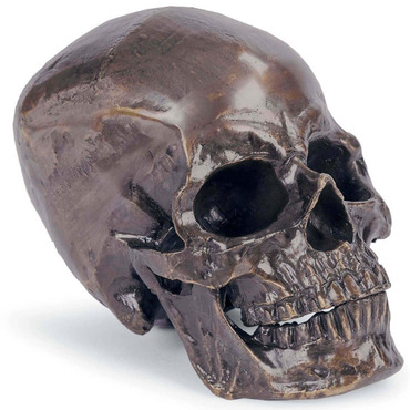 Metal Skull | Regina Andrew at Lightology Metal Skull