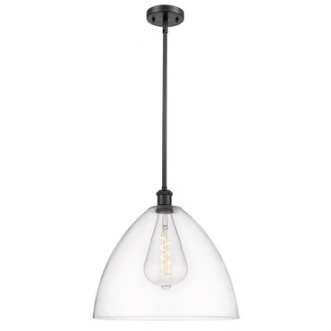 Bristol 16 Glass Stem Pendant